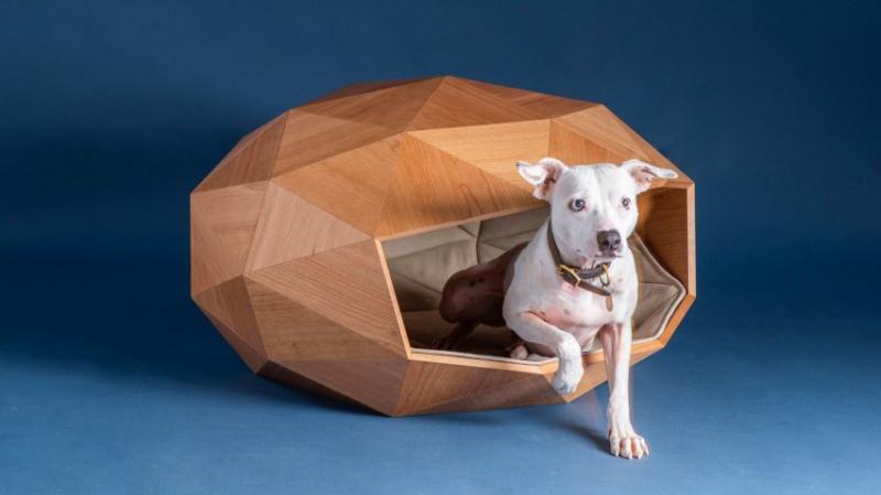 5 необычных дизайнерских будок для собак