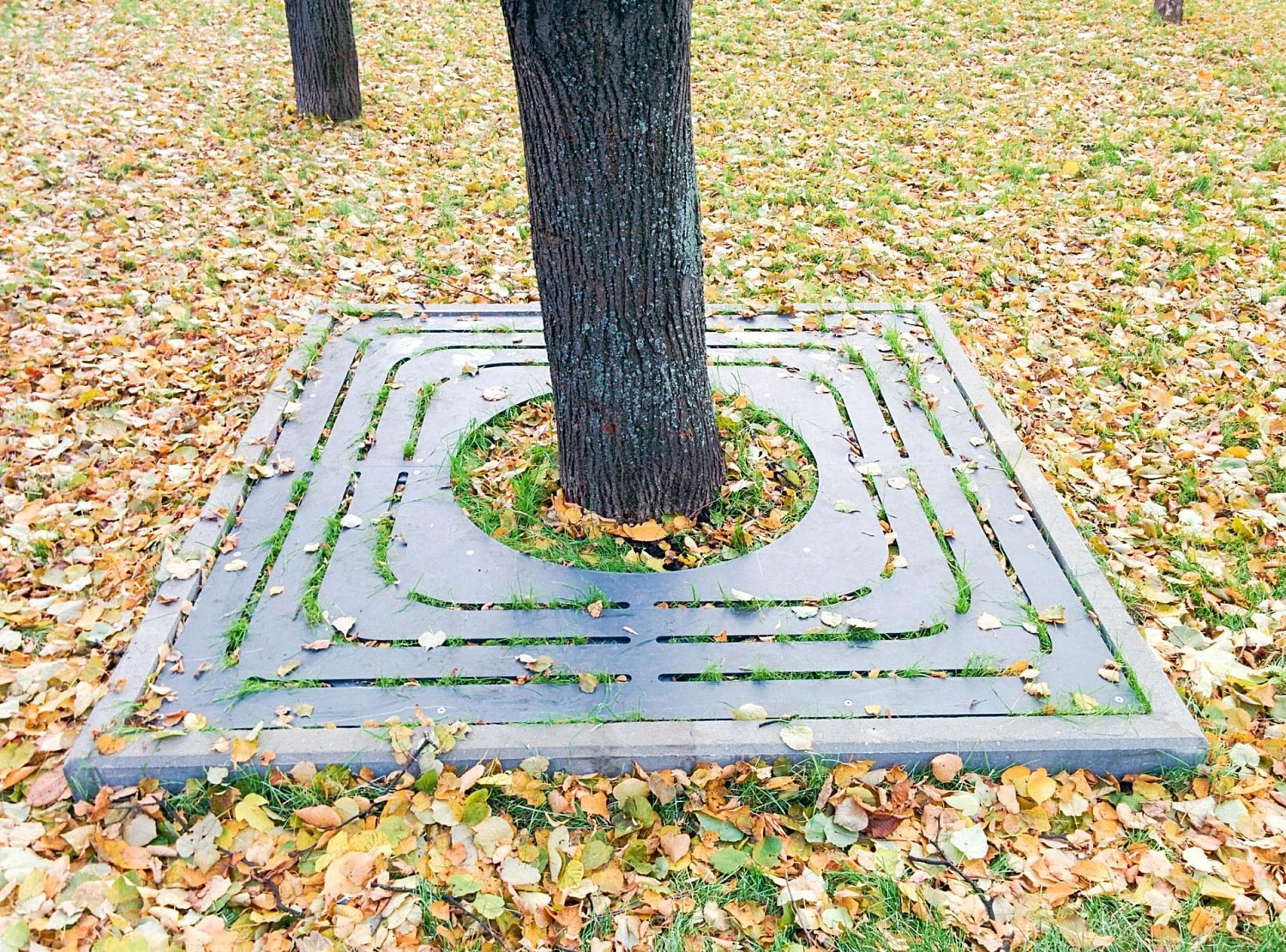 Зачем городам нужны приствольные решетки